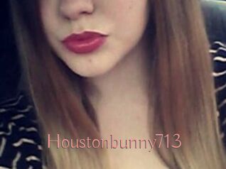 Houstonbunny713