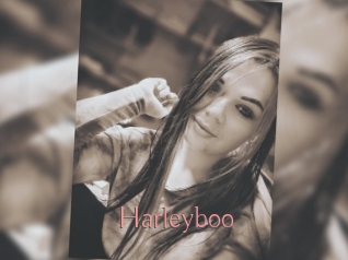 Harleyboo