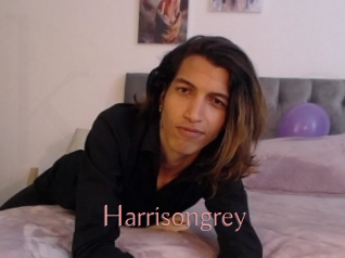 Harrisongrey