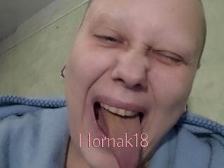 Hornak18