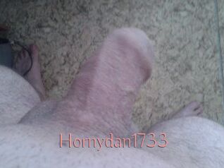 Hornydan1733