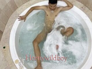 Hornywildboy