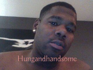 Hungandhandsome