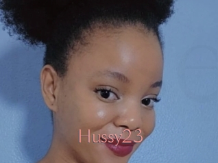 Hussy23