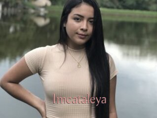 Imcataleya