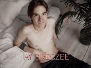 JAY_BREEZEE