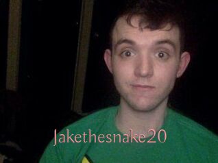 Jakethesnake20