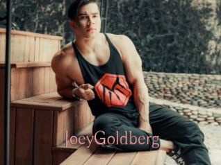 JoeyGoldberg