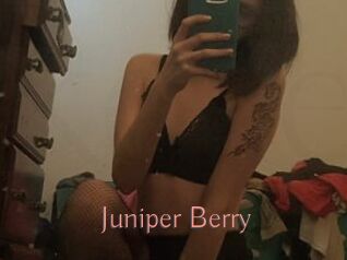 Juniper_Berry