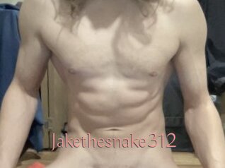 Jakethesnake312