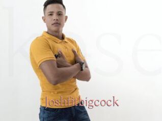 Joshfitbigcock