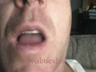 Ksbisexboi