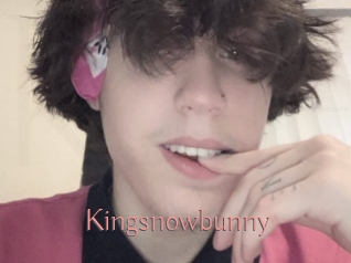 Kingsnowbunny