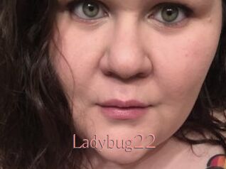 Ladybug22