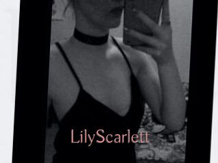 Lily_Scarlett