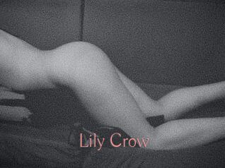 Lily_Crow