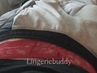 Lingeriebuddy