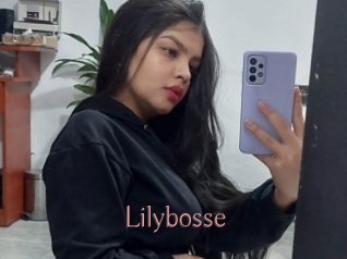 Lilybosse