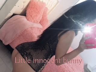 Little_innocent_bunny