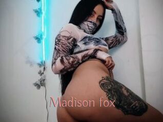 Madison_fox