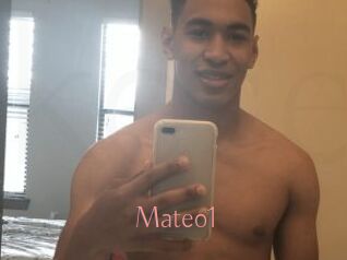 Mateo1