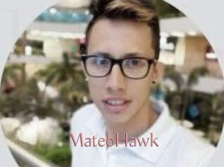 MateoHawk