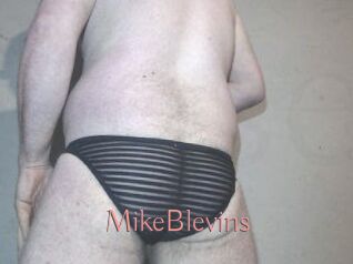 Mike_Blevins