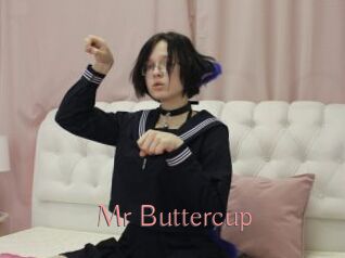 Mr_Buttercup