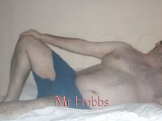 Mr_Hobbs