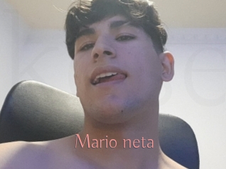 Mario_neta