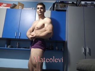 Mateolevi