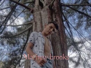 Mathew_brooks