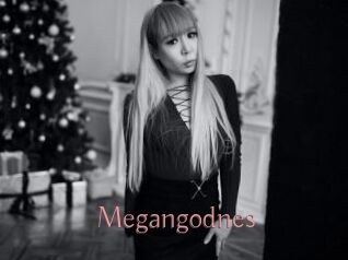 Megangodnes