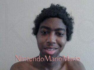 NintendoMarioMario