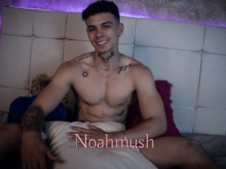 Noahmush