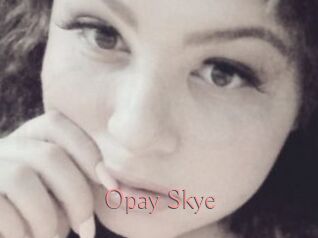 Opay_Skye