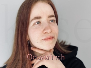 Octaviafinch