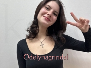 Odelynagrindel