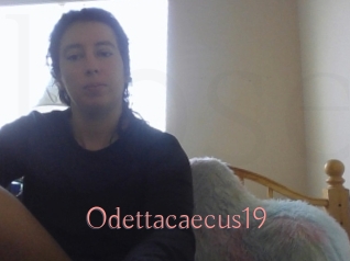 Odettacaecus19