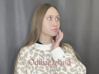 Odiliagarland