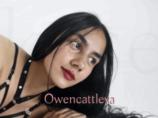 Owencattleya