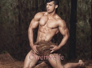 Owenwolfe