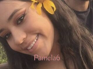 Pamela6