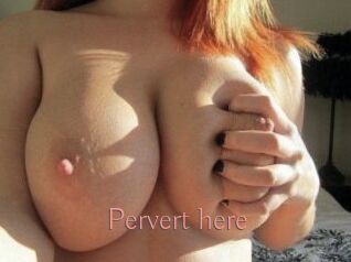 Pervert_here