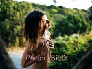 PhoenixBirdX