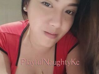 PlayfulNaughtyKc