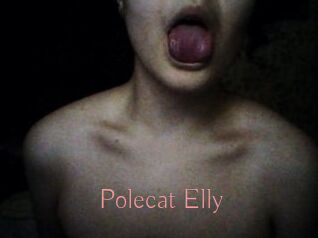 Polecat_Elly