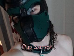 Pup_Samson