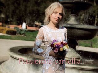 Passionate_camellia