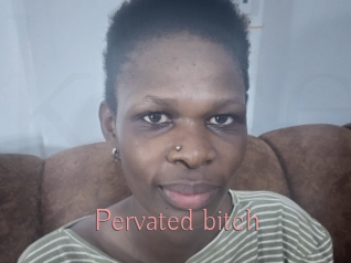 Pervated_bitch